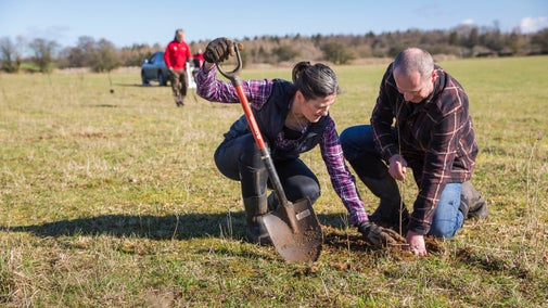 A man and a woman plant trees on tennant farmland at Lodge Park, Gloucestershire